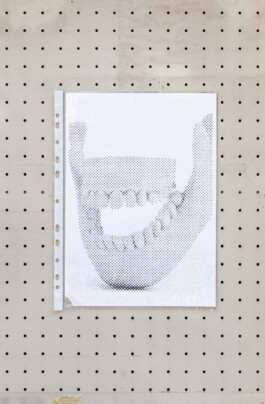 Exhibition view of Maxime Le Bon 